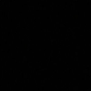 Meet your Posher, Donovan